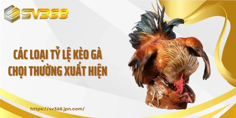 Các loại tỷ lệ kèo gà chọi thường xuất hiện