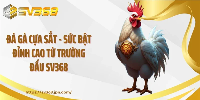 Đá Gà Cựa Sắt - Sức Bật Đỉnh Cao Từ Trường Đấu SV368