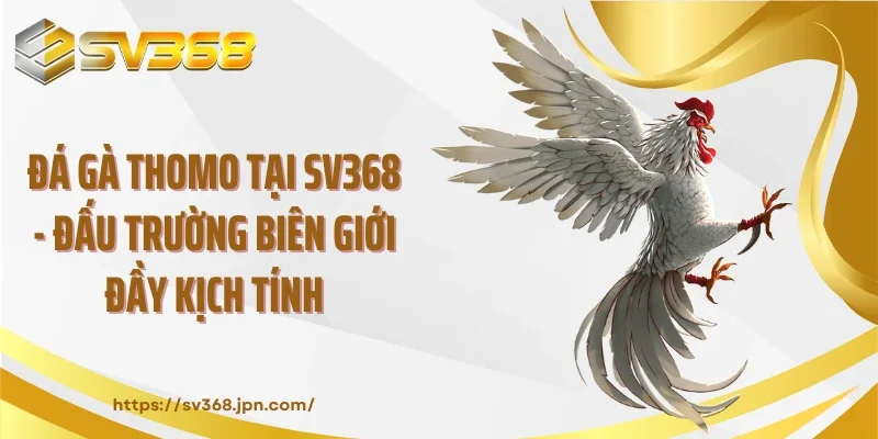 Đá Gà Thomo Tại SV368 - Đấu Trường Biên Giới Đầy Kịch Tính