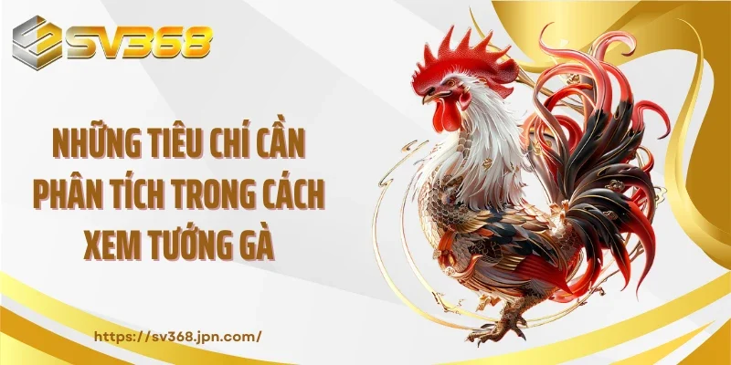 Những tiêu chí cần phân tích trong cách xem tướng gà